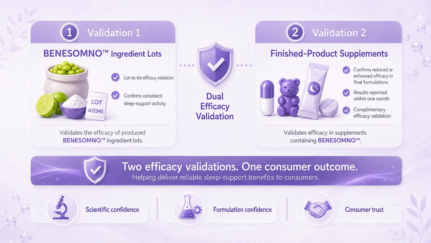 BENESURE validation flow from ingredient lot to finished formulation