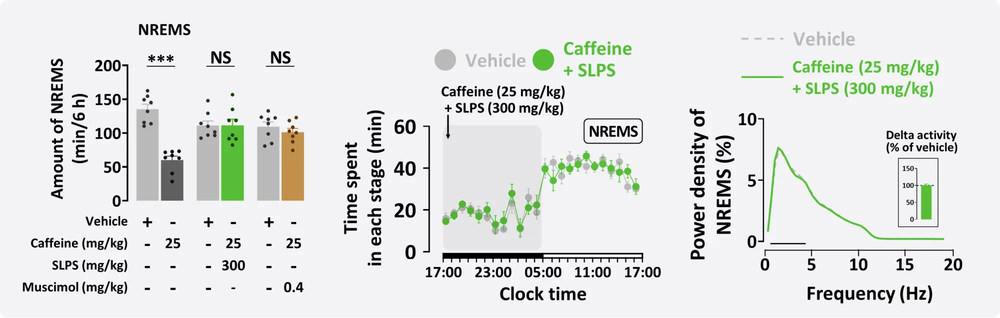 Caffeine EEG study charts