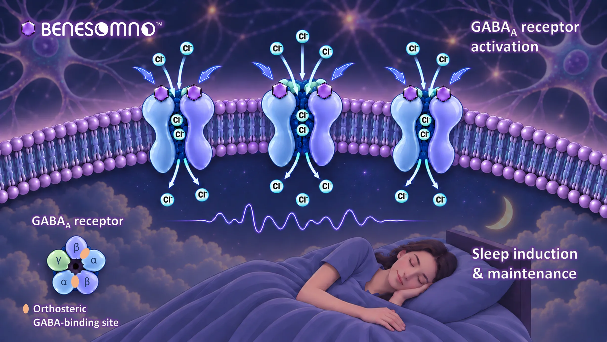 BENESOMNO™ bound at the orthosteric GABA-binding site of GABA_A receptors in the neuronal membrane, opening the channel to chloride ions and leading to sleep induction and maintenance