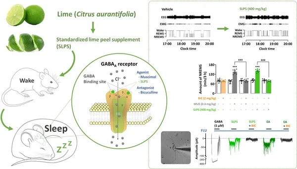 Nutra-it Develops a Sleep Functional Ingredient from Lime Peel Extract